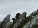 Chathamsbarry